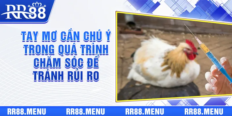 Tay mơ cần chú ý trong quá trình chăm sóc để tránh rủi ro