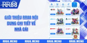 Giới Thiệu RR88 | Vì Sao Nhà Cái Lại “Chất Chơi” Đến Vậy?